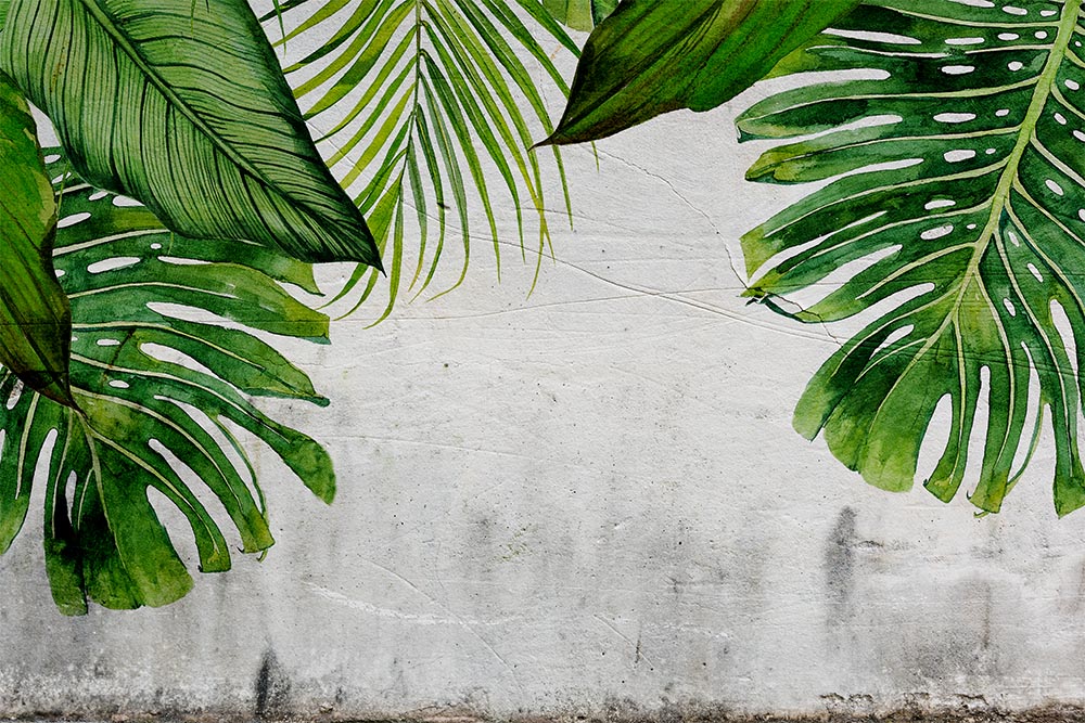 Beton Zemin Üzerinde Yeşil Tropikal Yapraklar Duvar Kağıdı