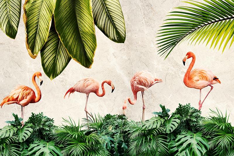 Flamingo Duvar Kağıdı 20