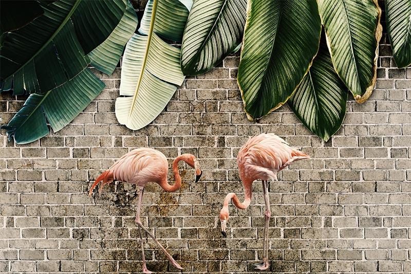 Flamingo Duvar Kağıdı 25