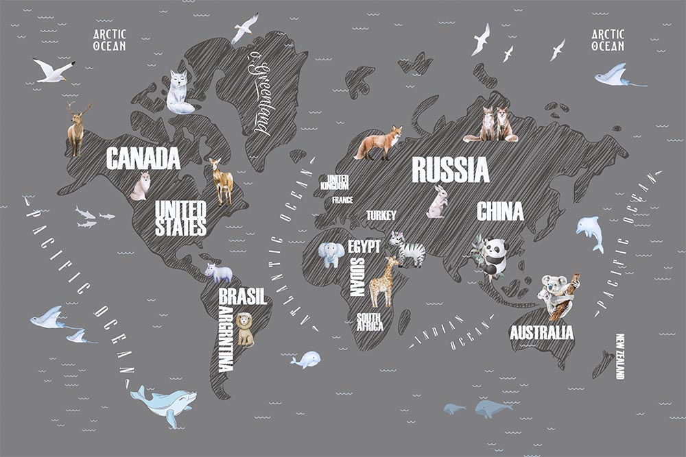 Gri Zemin Üzerinde Dünya Haritası Çocuk Odası Duvar Kağıdı